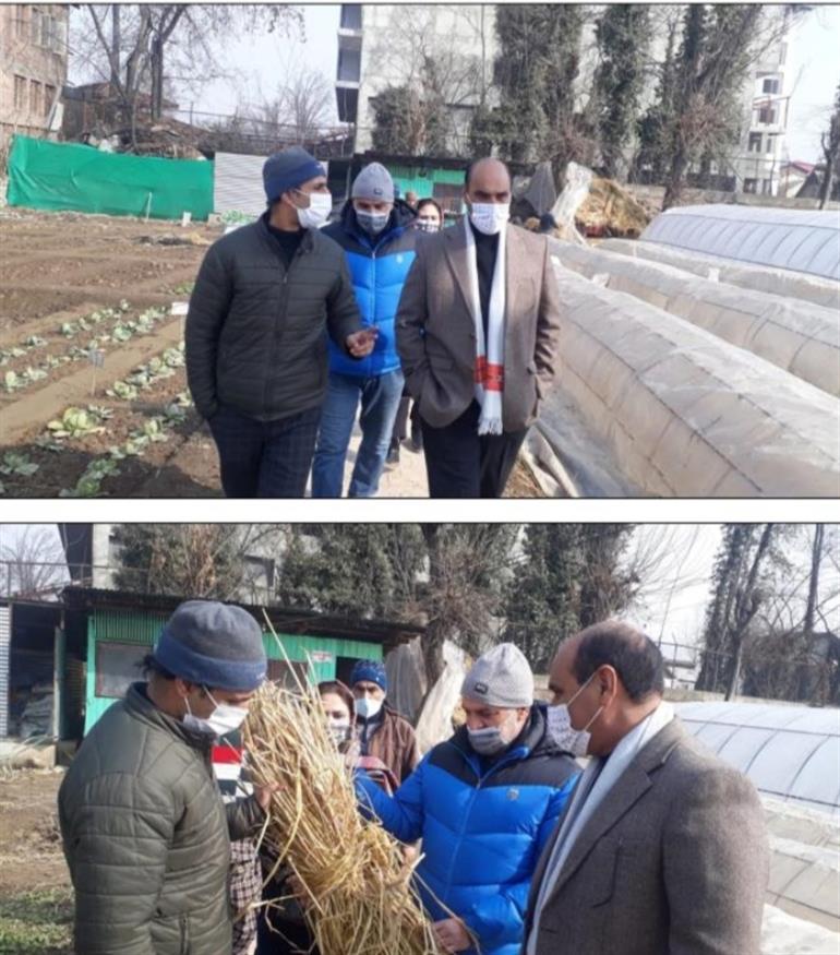 Director Agriculture Kashmir visits Ganderbal