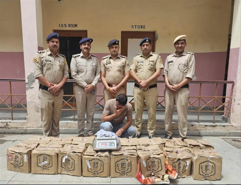 आनी पुलिस की बड़ी कार्रवाई: 88 ग्राम चरस और 192 बोतल अवैध देशी शराब बरामद, आरोपी के खिलाफ मामला दर्ज