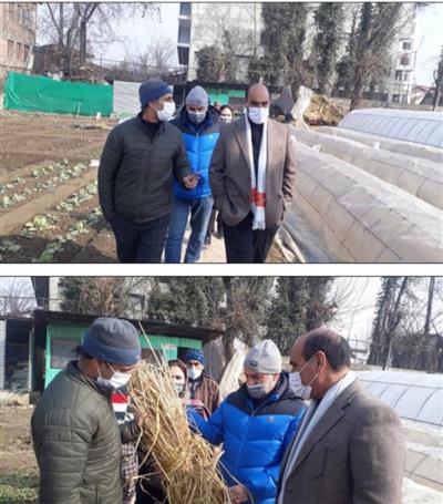Director Agriculture Kashmir visits Ganderbal