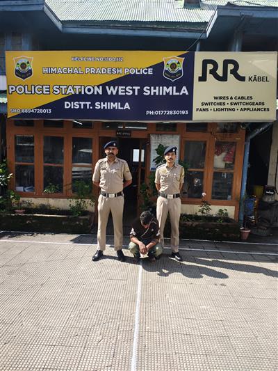 एचआरटीसी बस में 10.34 ग्राम चिट्टा के साथ युवक गिरफ्तार, शिमला पुलिस की बड़ी कार्रवाई