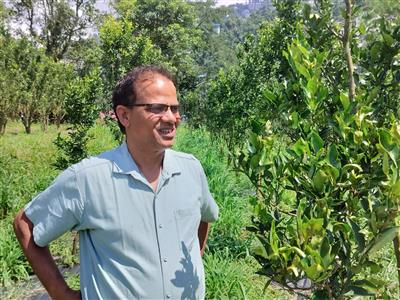 बीज उत्पादन से कीवी की उन्नत किस्मों तक, वैज्ञानिकों ने समझाई खेती की तकनीक