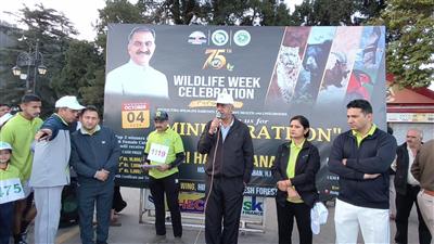 MLA Harish Janartha Flags Off Mini Marathon from Shimla Ridge on Wildlife Week